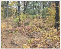  2024Ÿ��4451  �Ӿ߰��