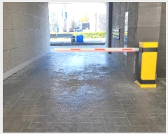  2024Ÿ��6044  �ٰ������ð��