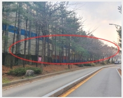  2024Ÿ6228 泲 õȽ  û絿 395-7      ()