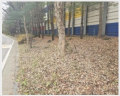  2024Ÿ6228 泲 õȽ  û絿 395-7      ()