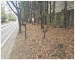  2024Ÿ6228 泲 õȽ  û絿 395-7      ()