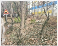  2024Ÿ6228 泲 õȽ  û絿 395-7      ()