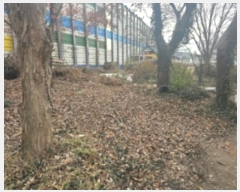  2024Ÿ6228 泲 õȽ  û絿 395-7      ()