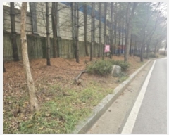  2024Ÿ6228 泲 õȽ  û絿 395-7      ()