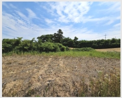  2024Ÿ��106333 �泲 õ�Ƚ� ���ϱ� ������ ���긮 ��28-1     ����(�Ӿ�)���