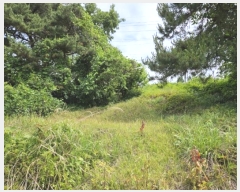  2024Ÿ��106333 �泲 õ�Ƚ� ���ϱ� ������ ���긮 ��28-1     ����(�Ӿ�)���