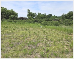  2024Ÿ��106333 �泲 õ�Ƚ� ���ϱ� ������ ���긮 ��28-1     ����(�Ӿ�)���