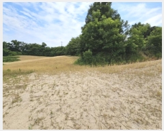  2024Ÿ��106333 �泲 õ�Ƚ� ���ϱ� ������ ���긮 ��28-1     ����(�Ӿ�)���