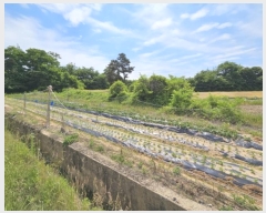  2024Ÿ��106333 �泲 õ�Ƚ� ���ϱ� ������ ���긮 ��28-1     ����(�Ӿ�)���