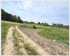  2024Ÿ��106333 �泲 õ�Ƚ� ���ϱ� ������ ���긮 ��28-1     ����(�Ӿ�)���