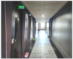  2024Ÿ110813 泲 ƻ õ1417 19       ڽü,,ȣ,