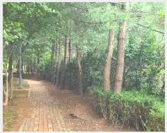  2024Ÿ��112208 �泲 �ƻ�� �ǿ��� 137-69       ����(��1)���