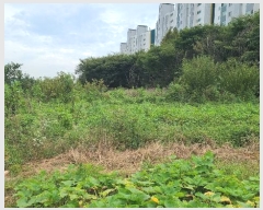  2024Ÿ��112208 �泲 �ƻ�� �ǿ��� 137-69       ����(��1)���