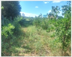  2024Ÿ��112208 �泲 �ƻ�� �ǿ��� 137-69       ����(��1)���