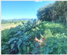  2024Ÿ��112208 �泲 �ƻ�� �ǿ��� 137-69       ����(��1)���