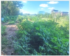  2024Ÿ��112208 �泲 �ƻ�� �ǿ��� 137-69       ����(��1)���