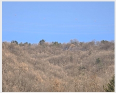  2024Ÿ��116873  �Ӿ߰��