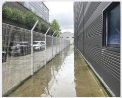  2024Ÿ��3342  â�����