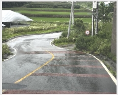  2024Ÿ��3342  â�����