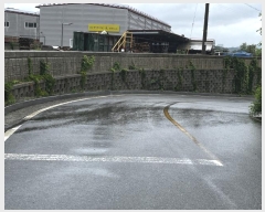  2024Ÿ��3342  â�����