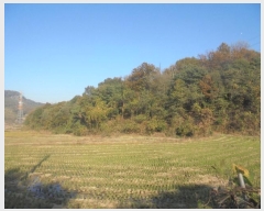  2024Ÿ5812 泲 ƻ   27      (Ӿ)