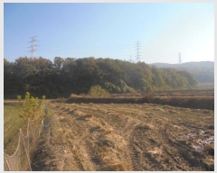  2024Ÿ5812 泲 ƻ   27      (Ӿ)