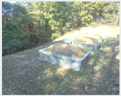  2024Ÿ5812 泲 ƻ   27      (Ӿ)