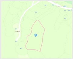  2024Ÿ5812 泲 ƻ   27      (Ӿ)