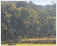  2024Ÿ5812 泲 ƻ   27      (Ӿ)