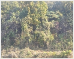  2024Ÿ5812 泲 ƻ   27      (Ӿ)