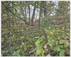  2024Ÿ5812 泲 ƻ   27      (Ӿ)