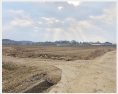  2024Ÿ��6563 �泲 �ƻ�� ���ָ� ���ϸ� 63-4      ����(��)���