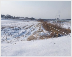  2024Ÿ��6563 �泲 �ƻ�� ���ָ� ���ϸ� 63-4      ����(��)���