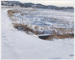  2024Ÿ��6563 �泲 �ƻ�� ���ָ� ���ϸ� 63-4      ����(��)���