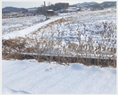  2024Ÿ��6563 �泲 �ƻ�� ���ָ� ���ϸ� 63-4      ����(��)���