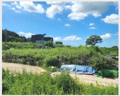  2024Ÿ��111793 �泲 �ƻ�� ���θ� ������ 654-1      ���ð��