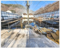  2024Ÿ308 泲 û籺 û д縮 107-6      