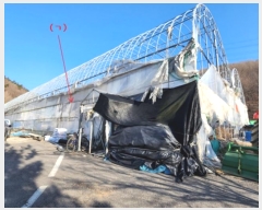  2024Ÿ308 泲 û籺 û д縮 107-6      