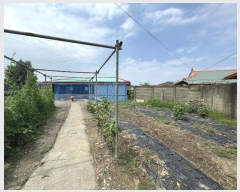  2024Ÿ��841 �泲 û�籺 û���� ��õ�� 251-2      ����(����)���