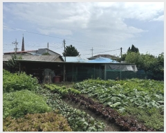  2024Ÿ��841 �泲 û�籺 û���� ��õ�� 251-2      ����(����)���