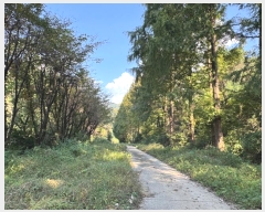  2024Ÿ��1165 �泲 ���ֽ� ��ǳ�� ���� 648      ���ð��