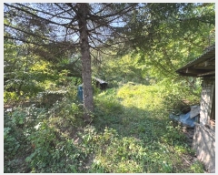  2024Ÿ��1165 �泲 ���ֽ� ��ǳ�� ���� 648      ���ð��