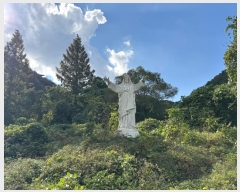  2024Ÿ��1165 �泲 ���ֽ� ��ǳ�� ���� 648      ���ð��