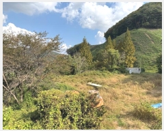  2024Ÿ��1165 �泲 ���ֽ� ��ǳ�� ���� 648      ���ð��