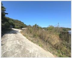  2024Ÿ��1226  ���ð��