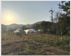  2024Ÿ��1240 �泲 û�籺 ����� ��θ� 480-3      ����(��)���