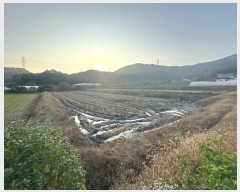  2024Ÿ��1240 �泲 û�籺 ����� ��θ� 480-3      ����(��)���