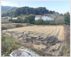  2024Ÿ��1240 �泲 û�籺 ����� ��θ� 480-3      ����(��)���