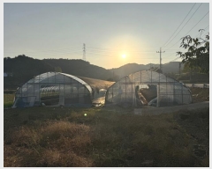  2024Ÿ��1240 �泲 û�籺 ����� ��θ� 480-3      ����(��)���