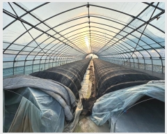  2024Ÿ��1240 �泲 û�籺 ����� ��θ� 480-3      ����(��)���